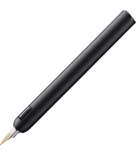 Amazon.com : Lamy dialog black – capless fountain pen with twist